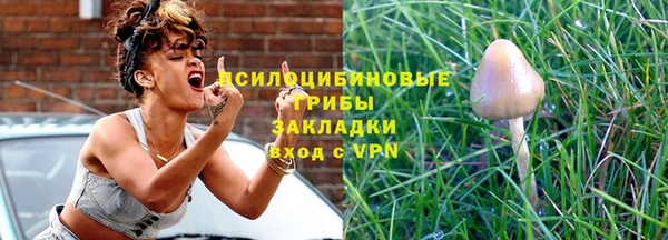 мет Богданович