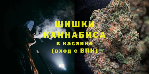 прущая мука Богородицк
