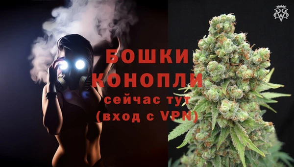 бошки Богородск