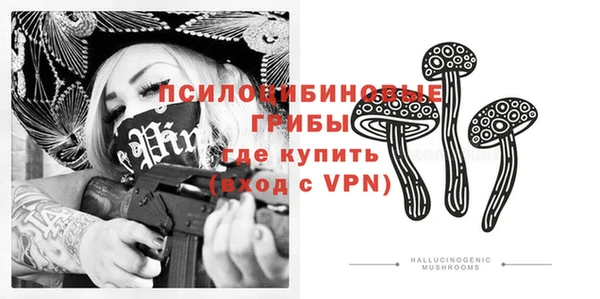 прущая мука Богородицк