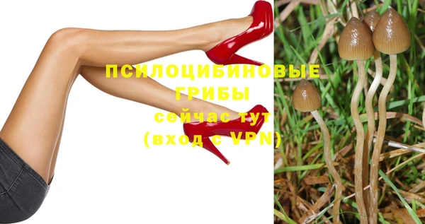прущая мука Богородицк